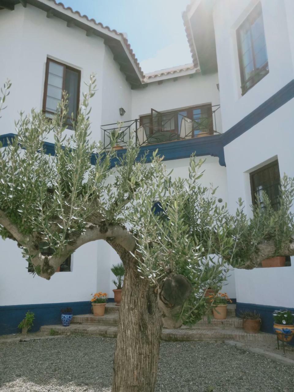 Bed and Breakfast El Cielo Azul Эль-Чорро Экстерьер фото