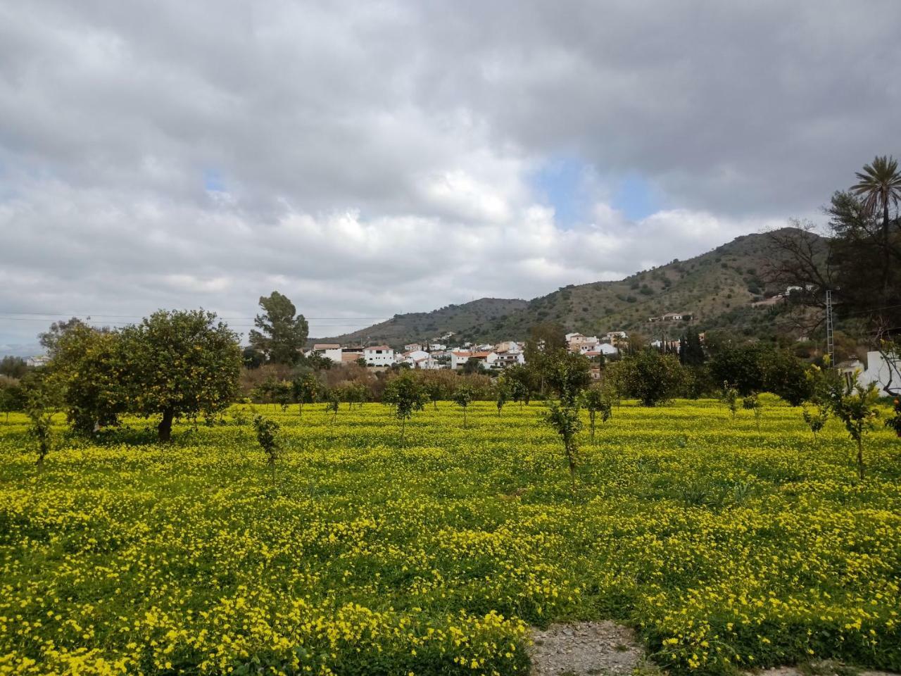 Bed and Breakfast El Cielo Azul Эль-Чорро Экстерьер фото